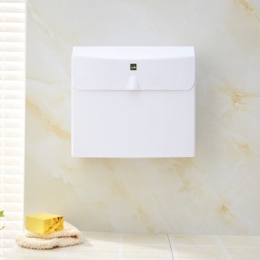 R1150強(qiáng)力吸壁防水衛(wèi)生紙箱(R15)