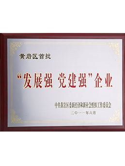 黃巖區首批“發展強 黨建強企業”